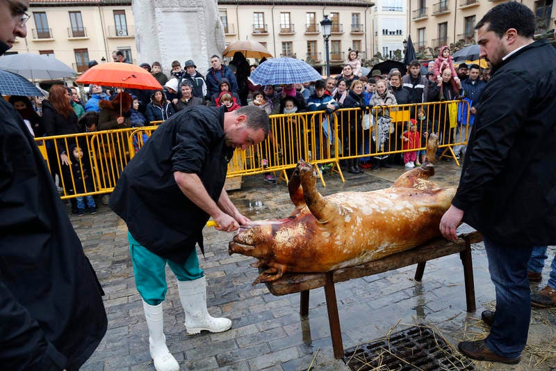 Cientos de palentinos reviven en la Plaza Mayor la matanza del cerdo