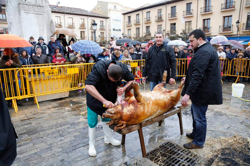 Cientos de palentinos reviven en la Plaza Mayor la matanza del cerdo