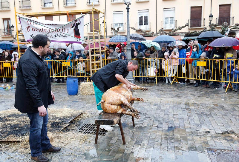 Cientos de palentinos reviven en la Plaza Mayor la matanza del cerdo