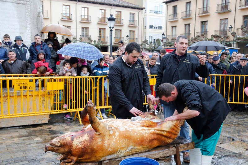 Cientos de palentinos reviven en la Plaza Mayor la matanza del cerdo