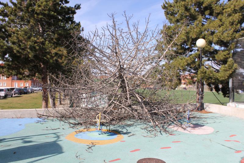 Temporal en Palencia