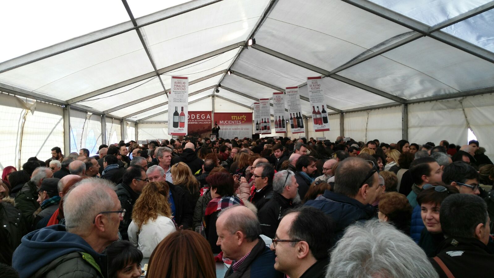 VIII edición de la Fiesta del primer vino de Mucientes