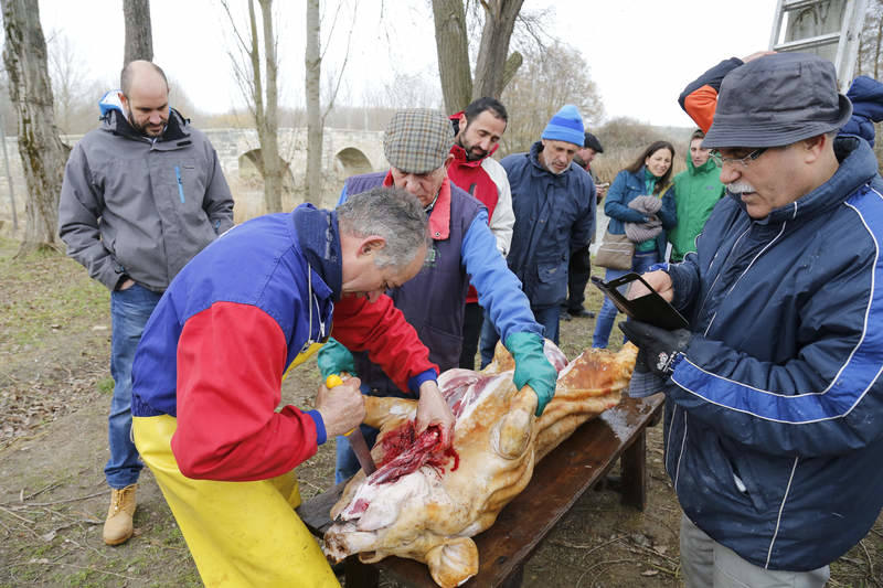 Matanza tradicional en Husillos (Palencia)