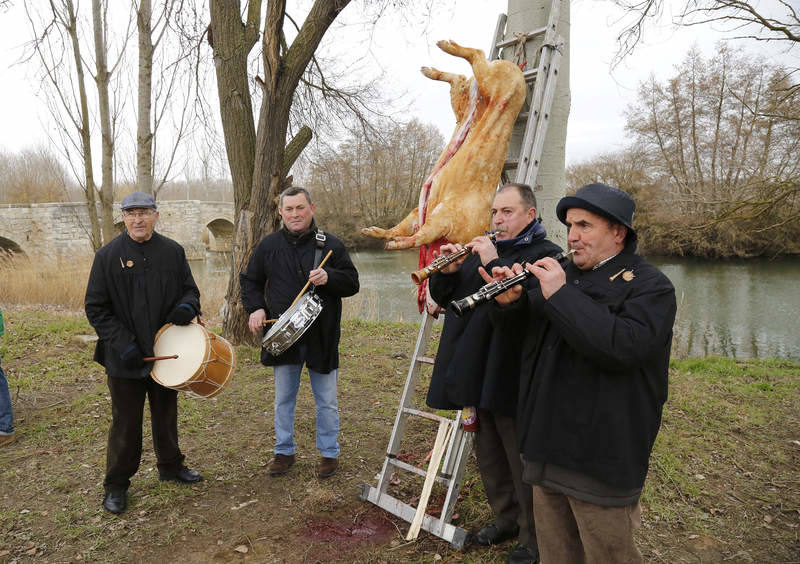 Matanza tradicional en Husillos (Palencia)