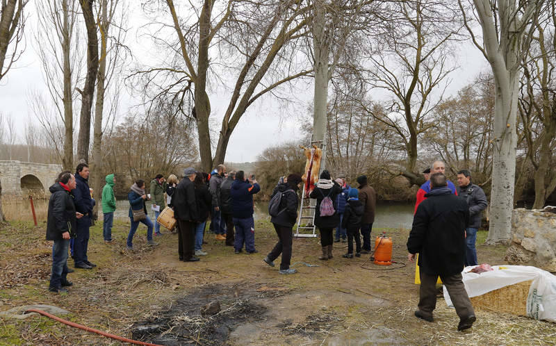 Matanza tradicional en Husillos (Palencia)