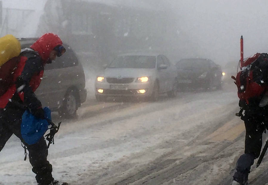 Nieve en Navacerrada (Segovia)