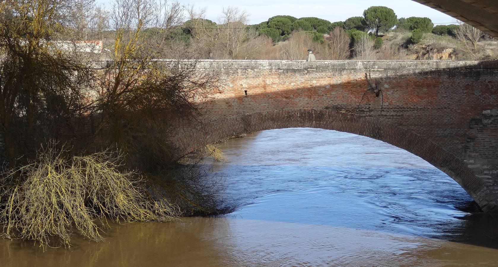 El río Adaja a su paso por Valdestillas.