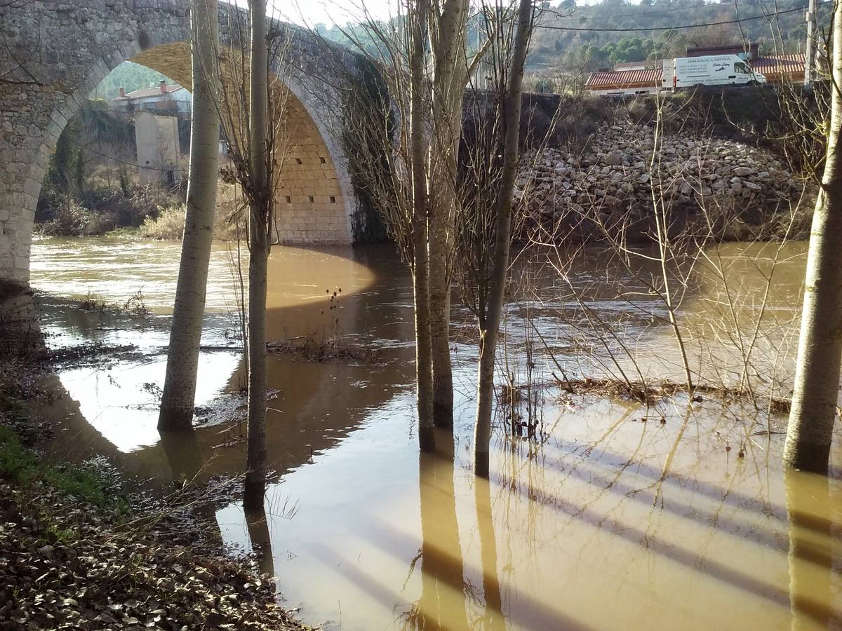 El río Cega a su paso por Megeces.