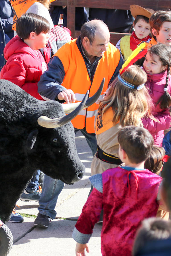 Encierro de carnaval el sábado en Ciudad Rodrigo