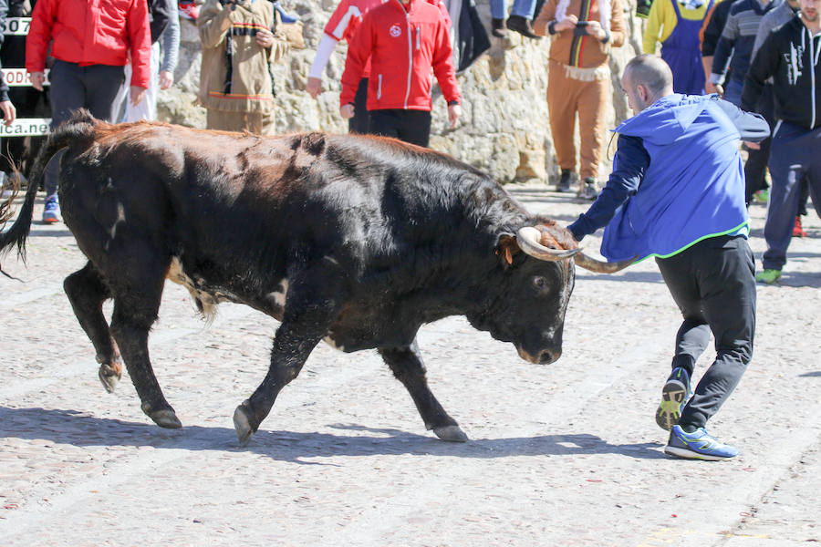 Encierro de carnaval el sábado en Ciudad Rodrigo