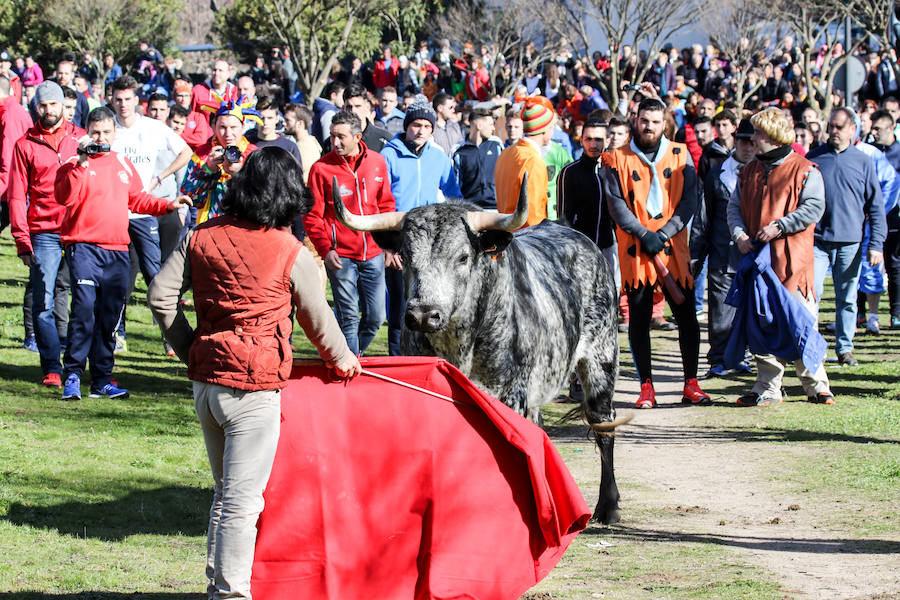 Encierro de carnaval el sábado en Ciudad Rodrigo