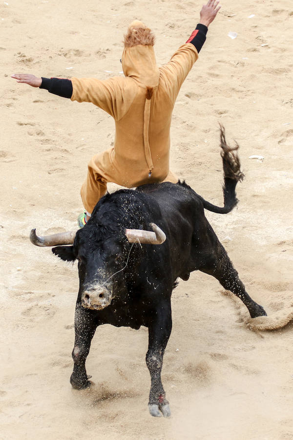 Encierro y capea en Ciudad Rodrigo