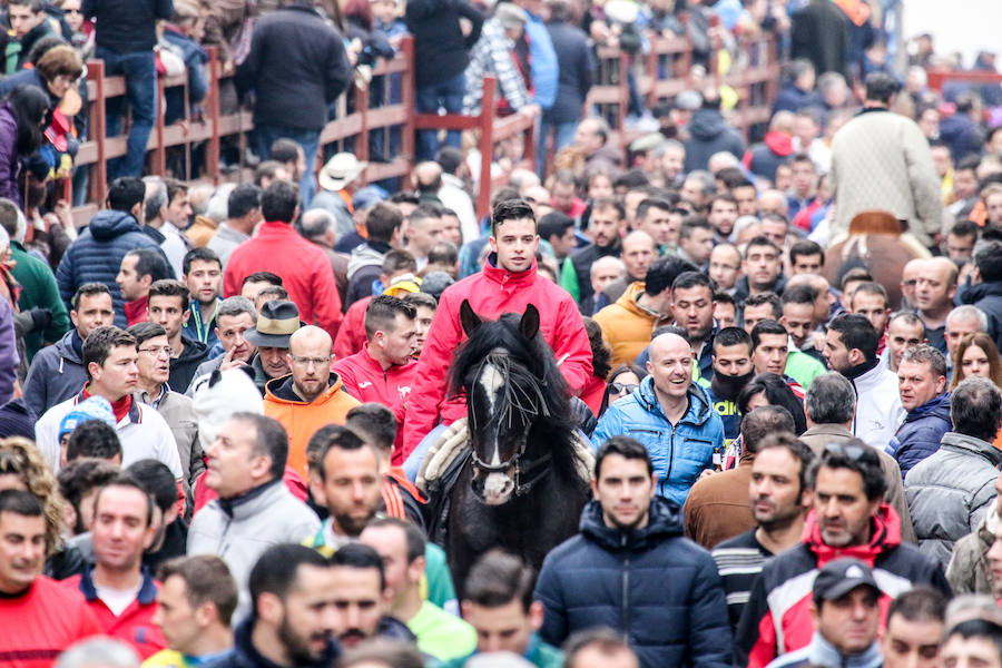 Encierro y capea en Ciudad Rodrigo