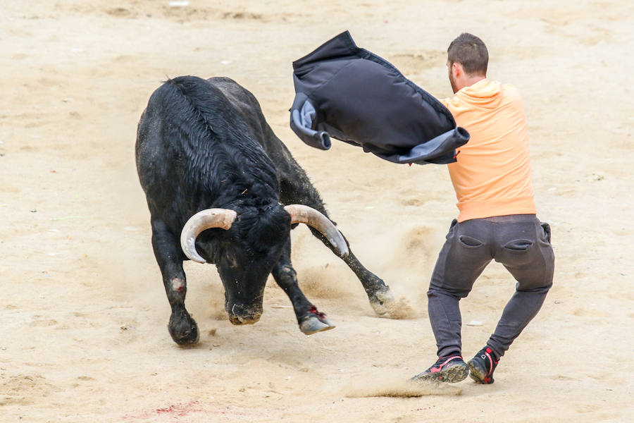 Encierro y capea en Ciudad Rodrigo