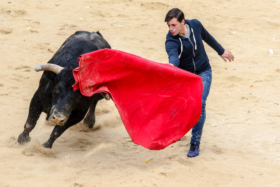 Encierro y capea en Ciudad Rodrigo