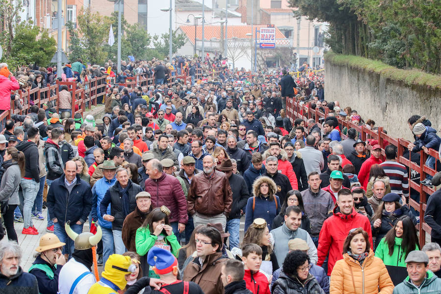 Encierro y capea en Ciudad Rodrigo