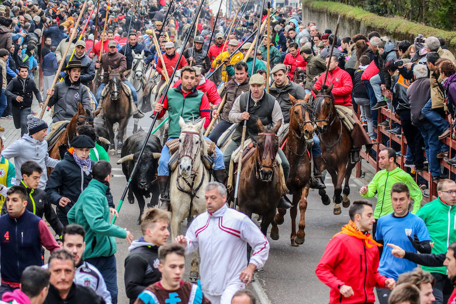 Encierro y capea en Ciudad Rodrigo