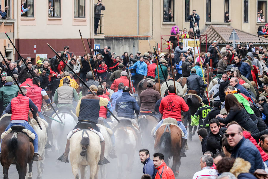 Encierro y capea en Ciudad Rodrigo