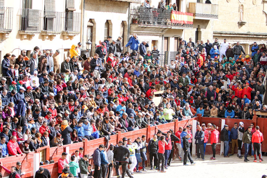 Encierro y capea el lunes de carnaval en Ciudad Rodrigo