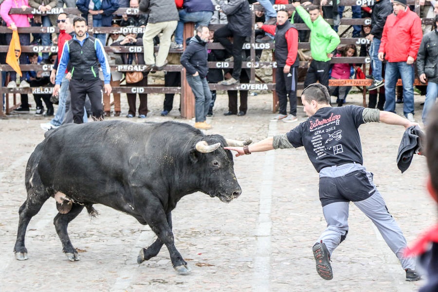 Encierro y capea el lunes de carnaval en Ciudad Rodrigo