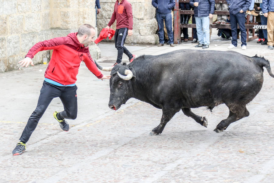 Encierro y capea el lunes de carnaval en Ciudad Rodrigo