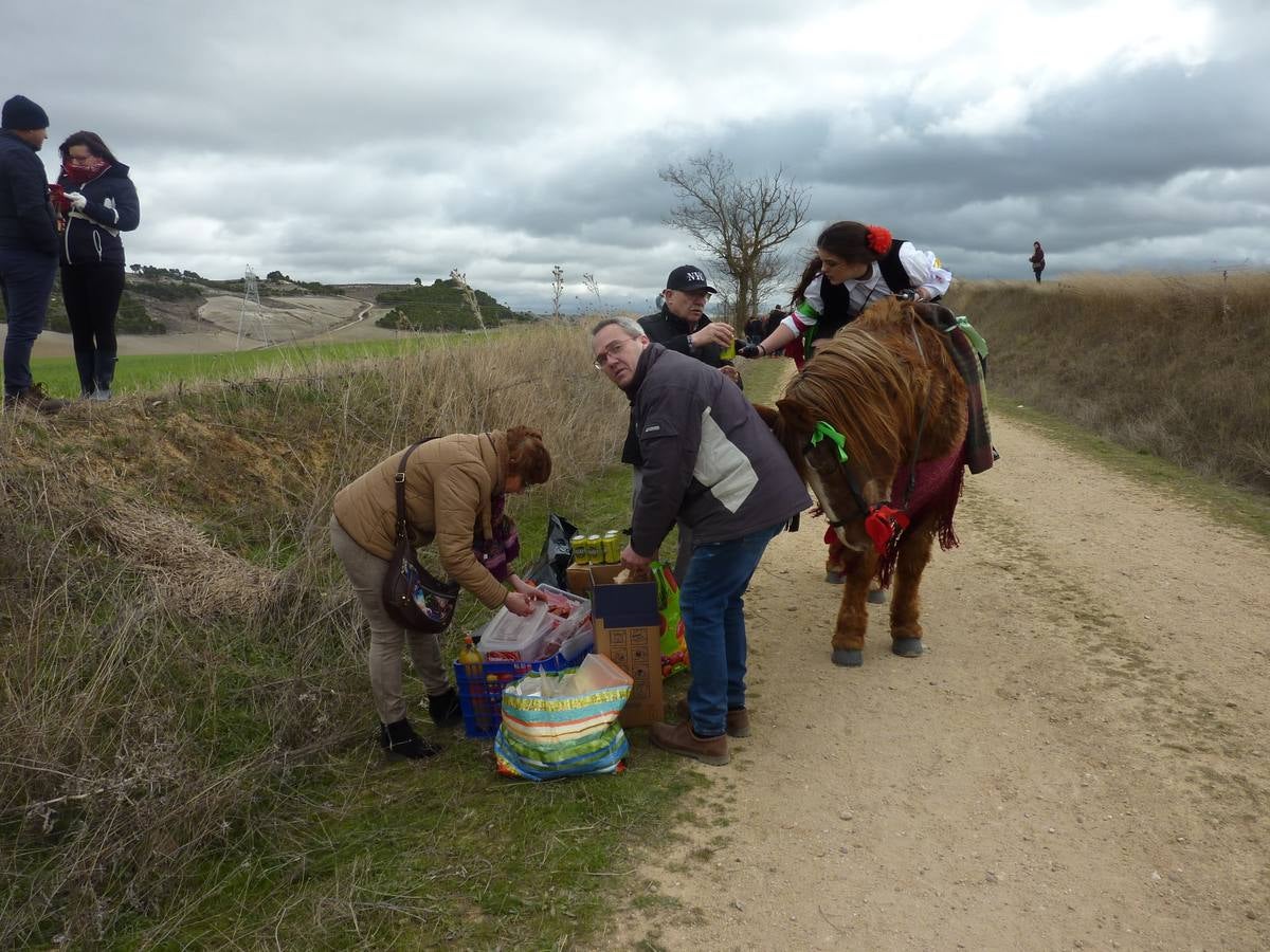 Carrera de cintas a caballo de Torrelobatón (Valladolid)