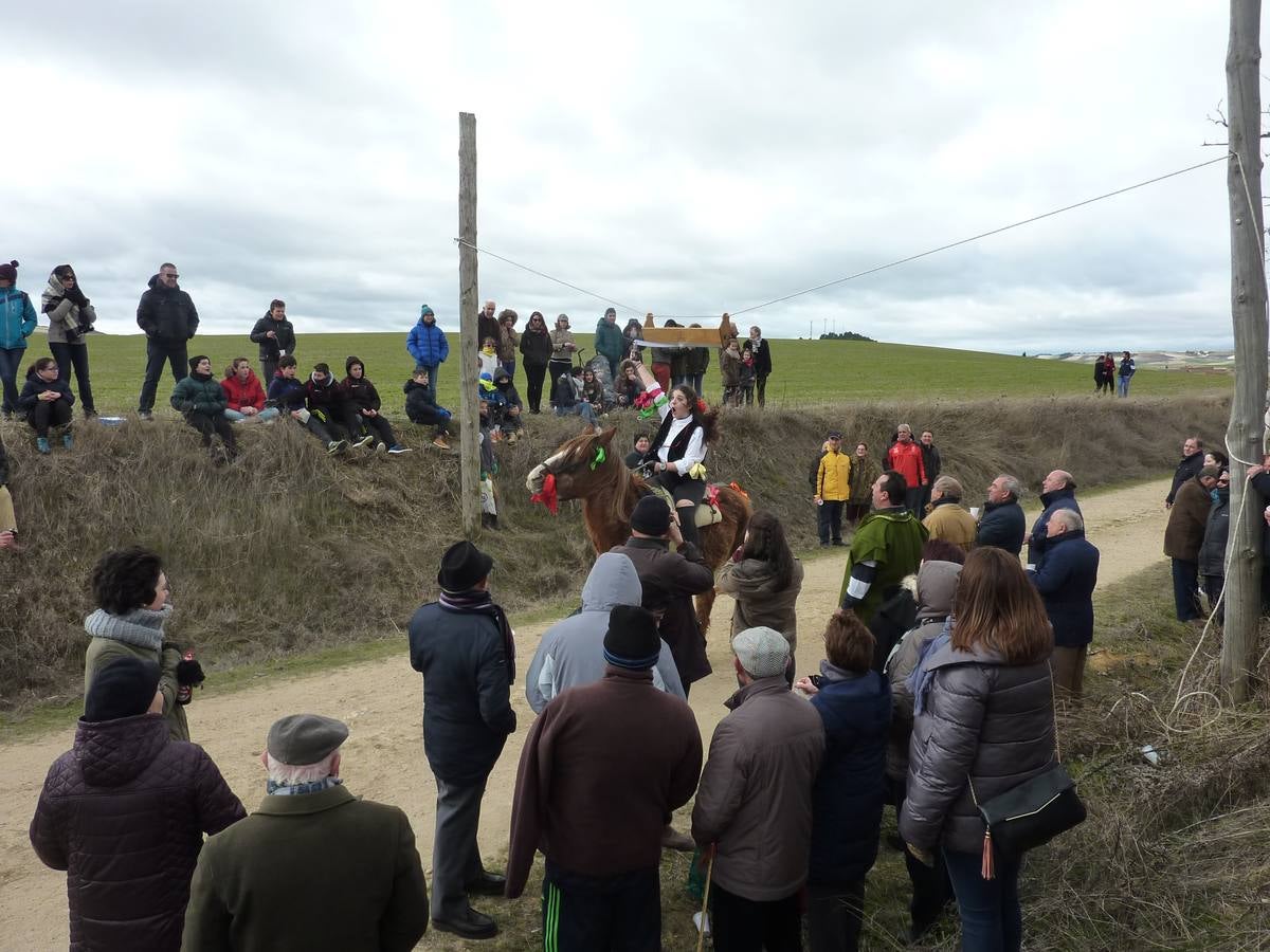Carrera de cintas a caballo de Torrelobatón (Valladolid)