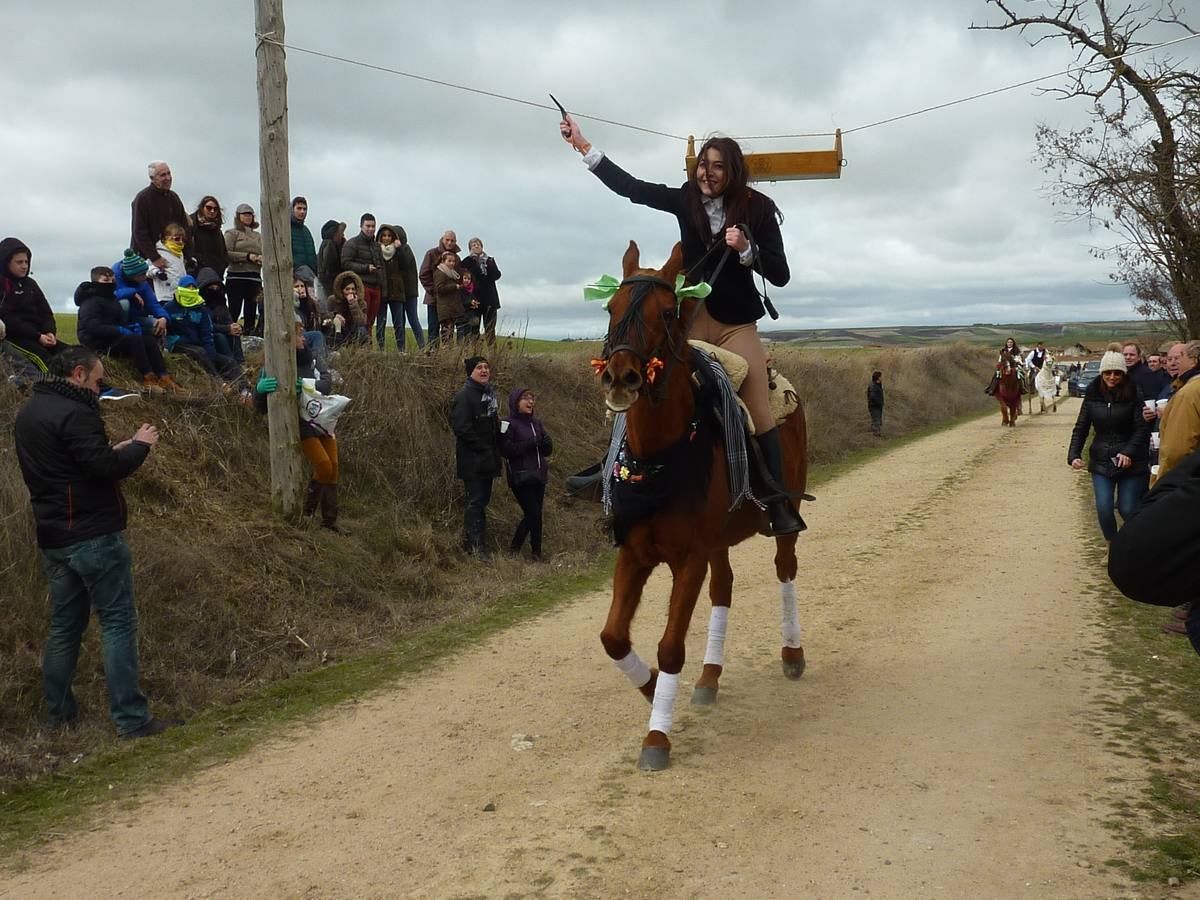 Carrera de cintas a caballo de Torrelobatón (Valladolid)