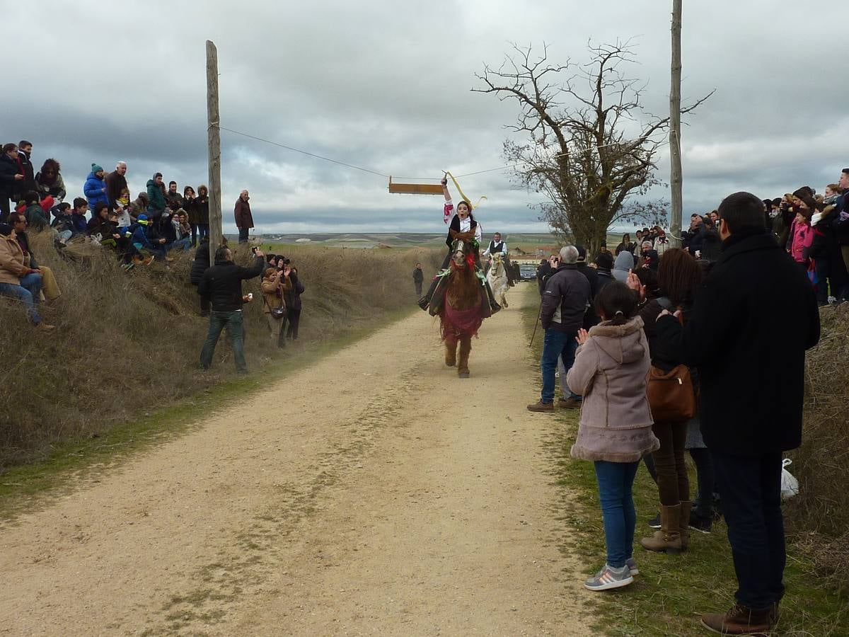 Carrera de cintas a caballo de Torrelobatón (Valladolid)