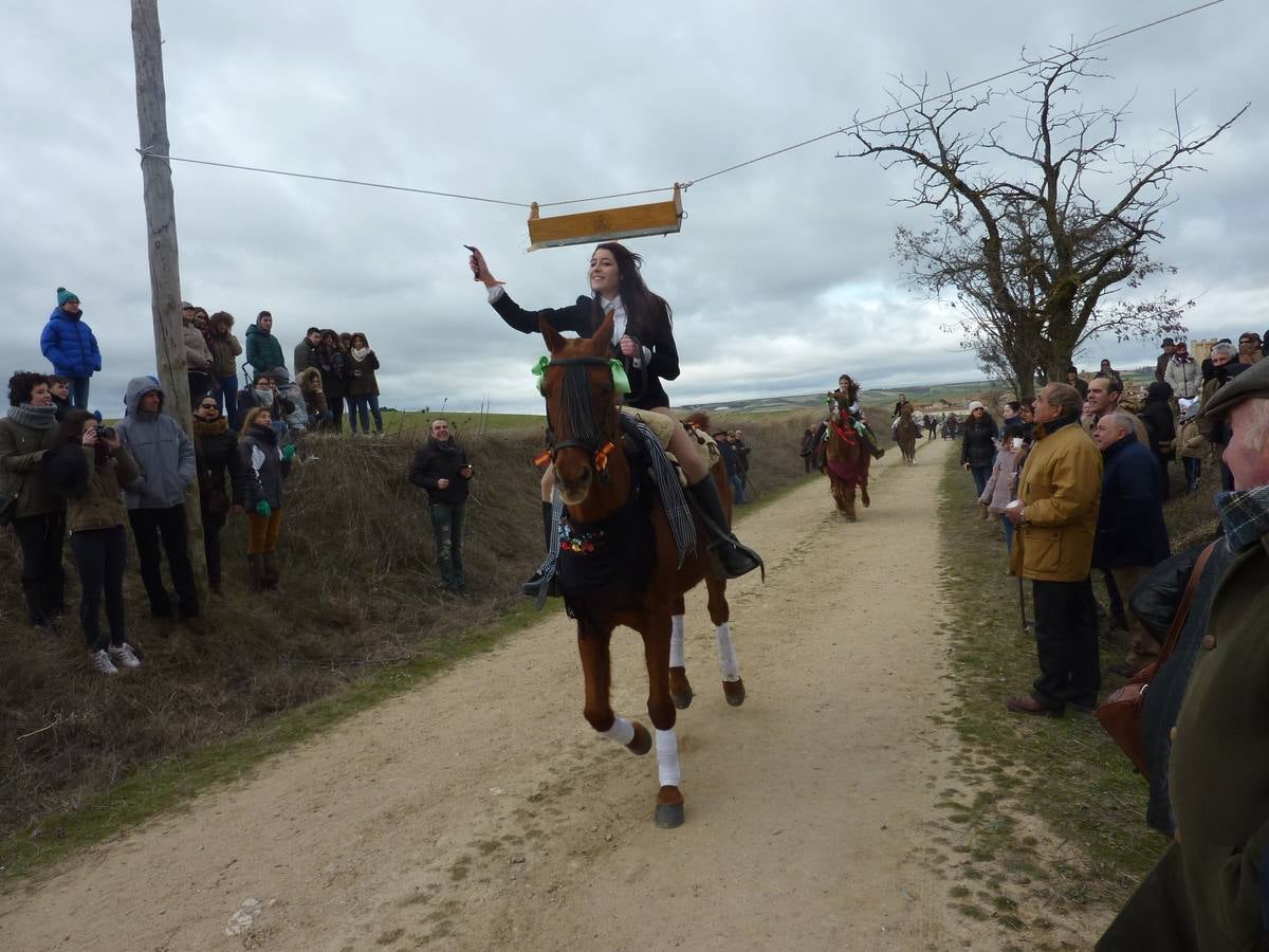 Carrera de cintas a caballo de Torrelobatón (Valladolid)