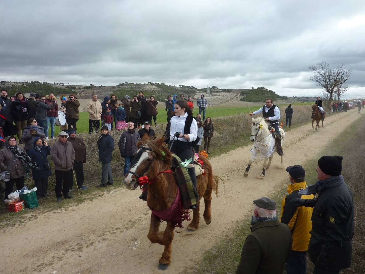 Carrera de cintas a caballo de Torrelobatón (Valladolid)