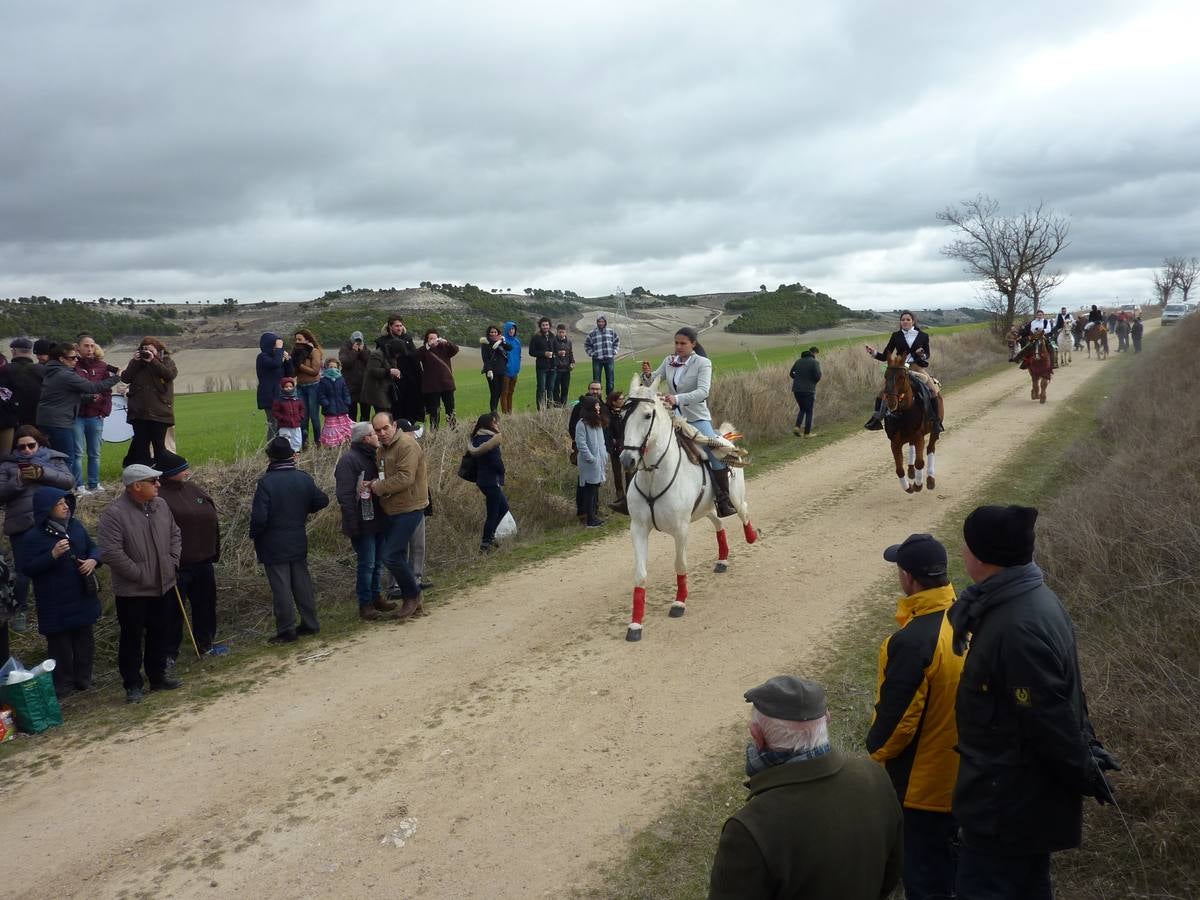 Carrera de cintas a caballo de Torrelobatón (Valladolid)
