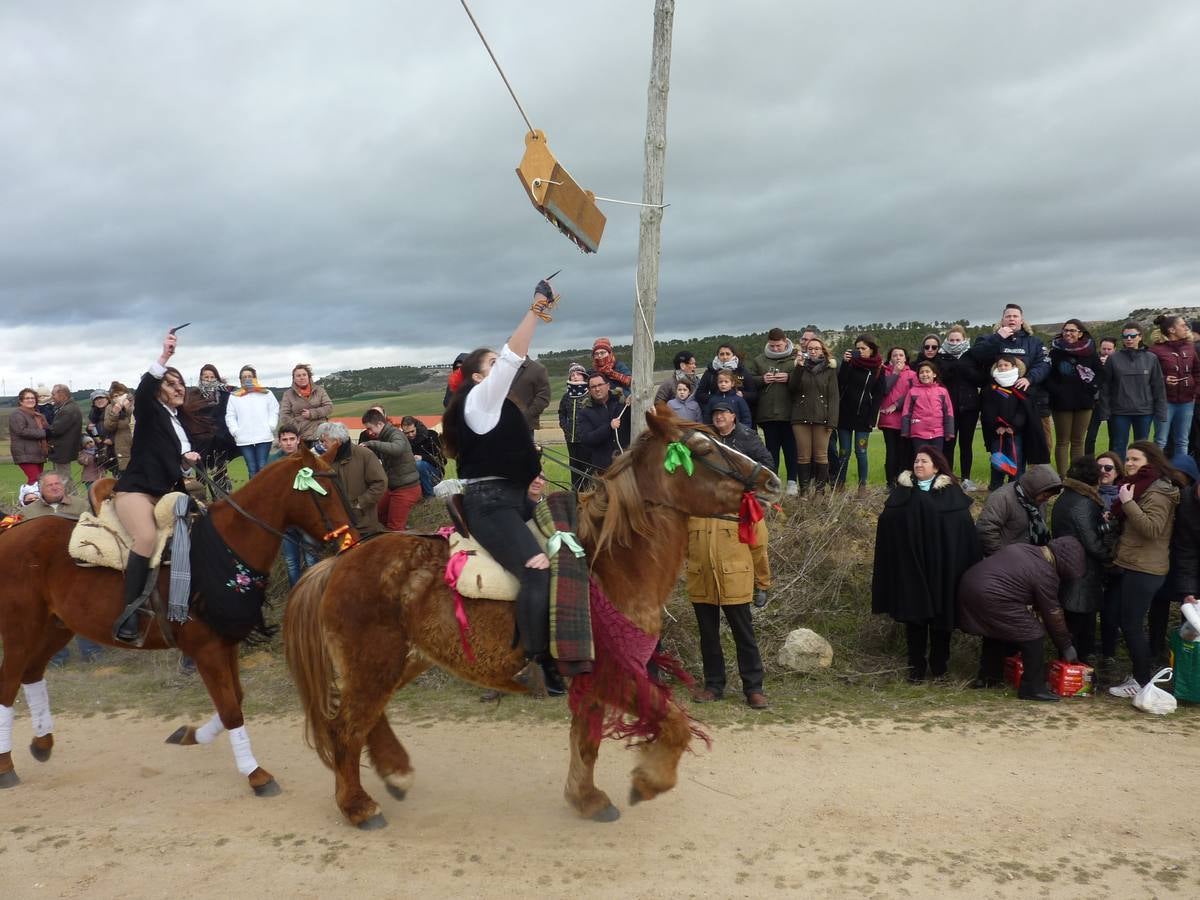 Carrera de cintas a caballo de Torrelobatón (Valladolid)