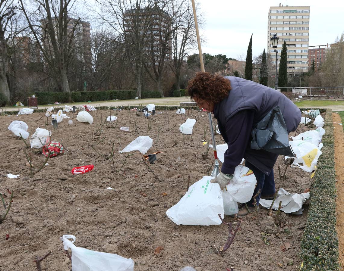 Restos del macrobotellón del lunes de carnaval en el entorno de Las Moreras