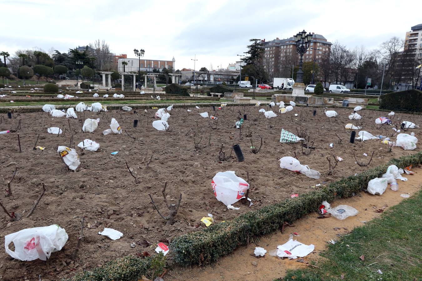 Restos del macrobotellón del lunes de carnaval en el entorno de Las Moreras