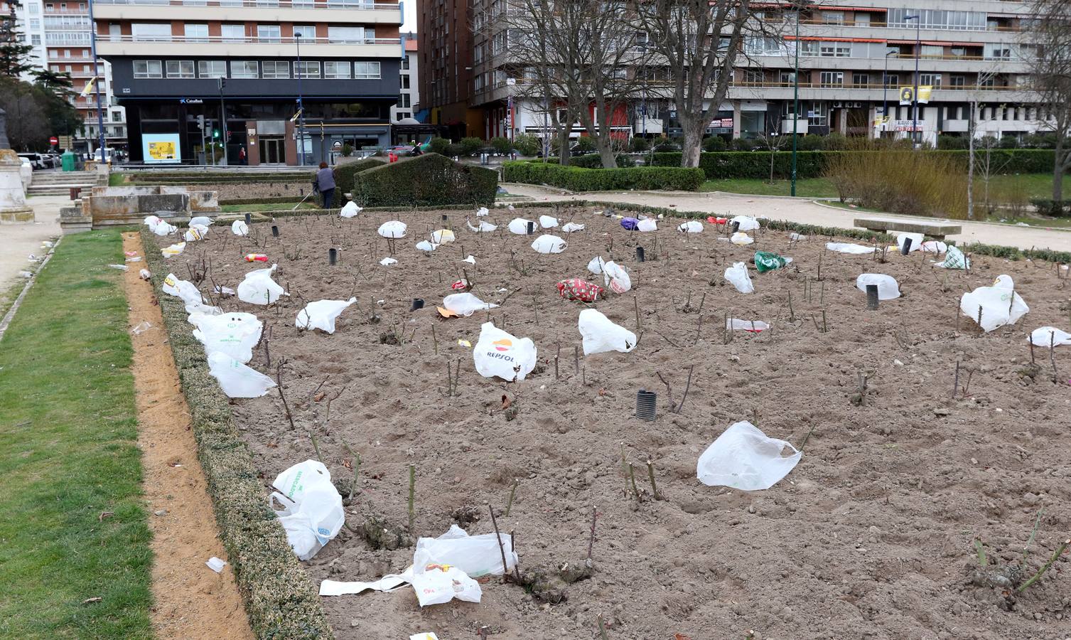 Restos del macrobotellón del lunes de carnaval en el entorno de Las Moreras
