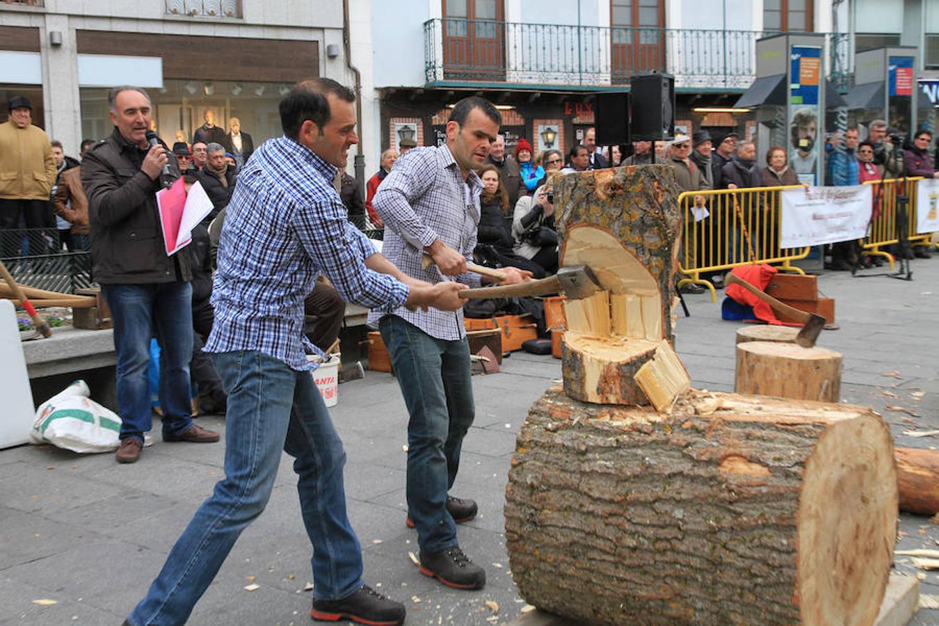 Fiesta de los gabarreros en Segovia