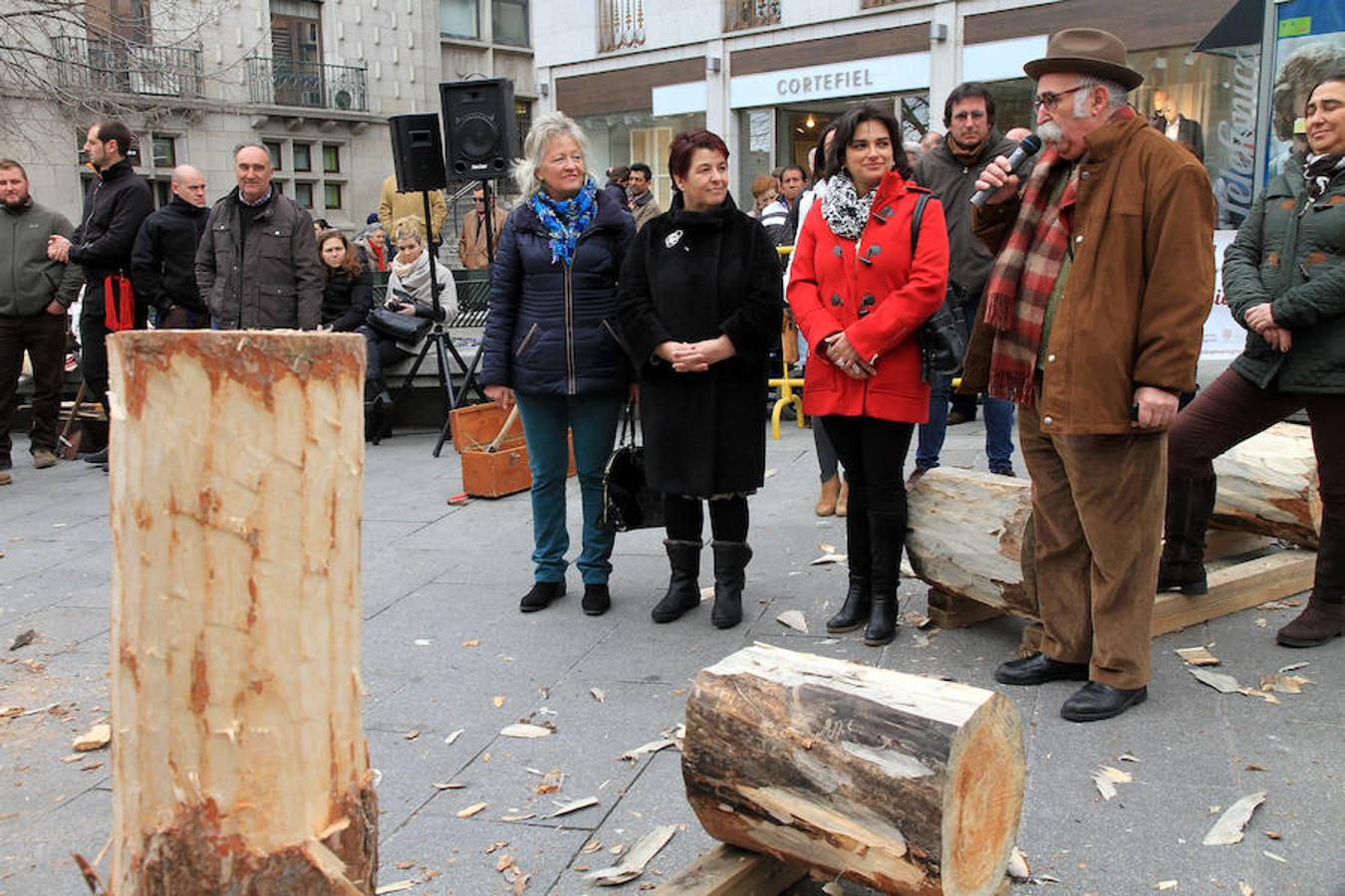 Fiesta de los gabarreros en Segovia