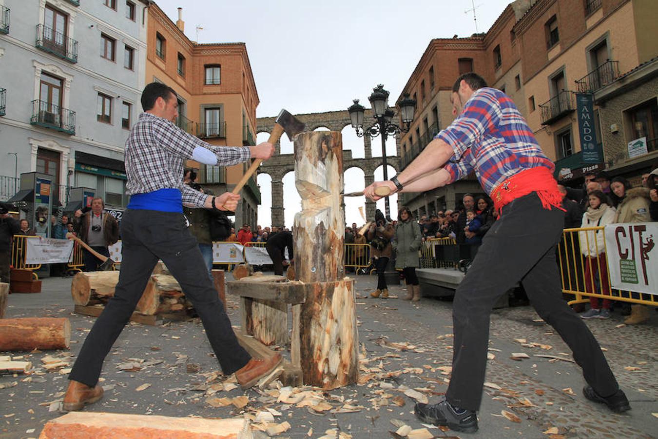 Fiesta de los gabarreros en Segovia