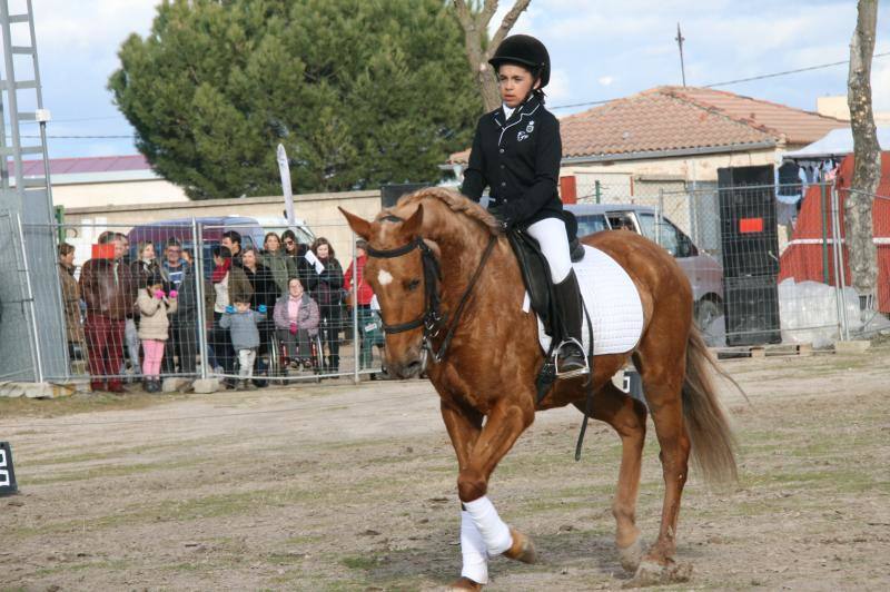 Feria del Ángel de Fuentepelayo (Segovia)