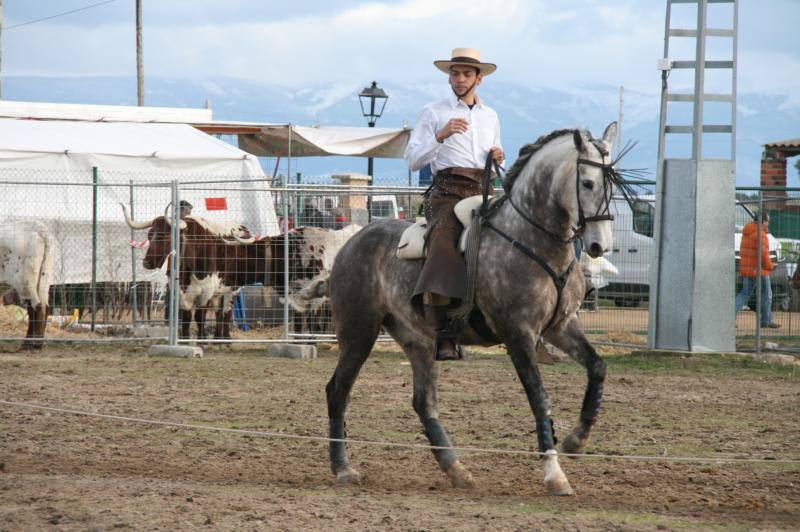 Feria del Ángel de Fuentepelayo (Segovia)