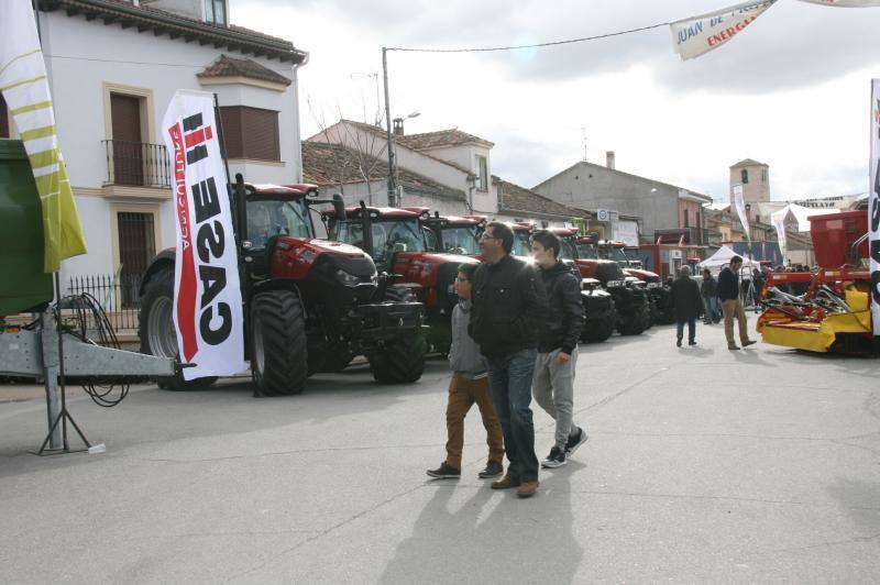 Feria del Ángel de Fuentepelayo (Segovia)