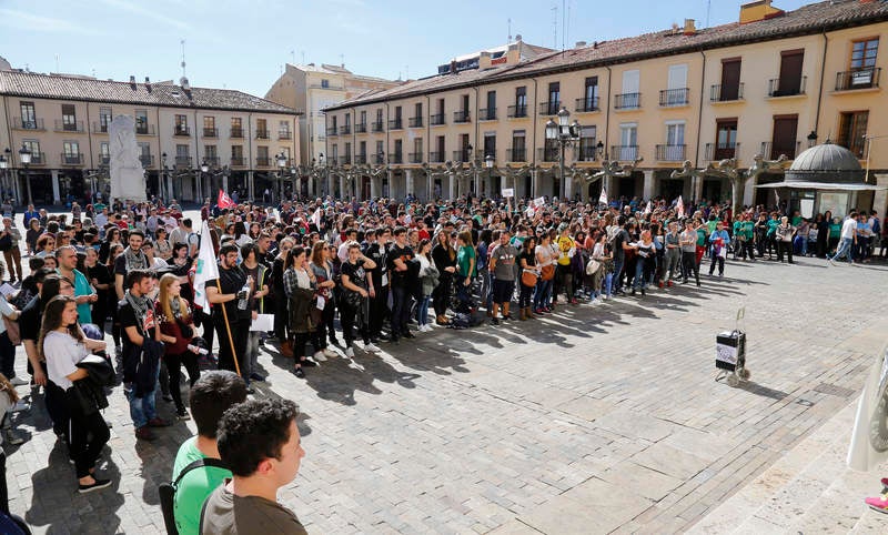 Palencia apoya la huelga en Educación