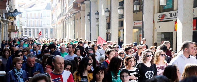 Palencia apoya la huelga en Educación