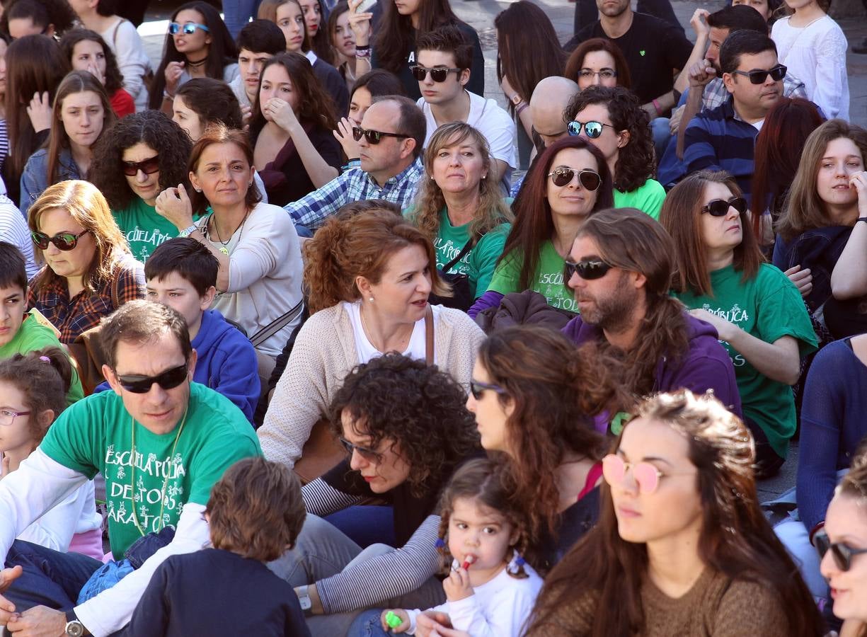 Segovia apoya la huelga en Educación