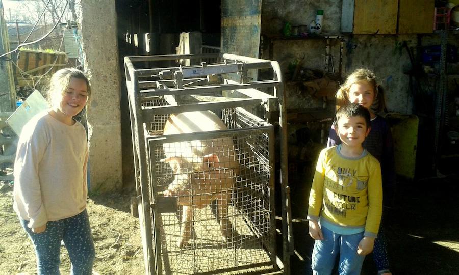 Matanza en Castrillo de Don Juan (Palencia)