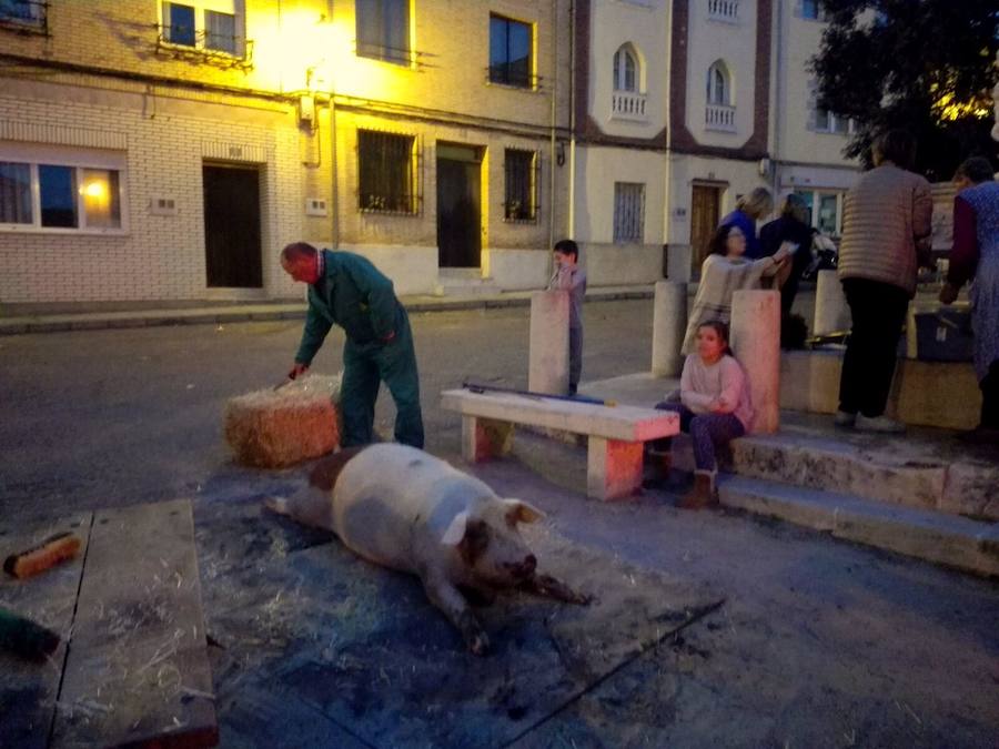 Matanza en Castrillo de Don Juan (Palencia)