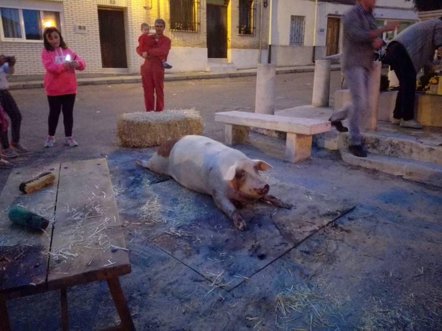 Matanza en Castrillo de Don Juan (Palencia)