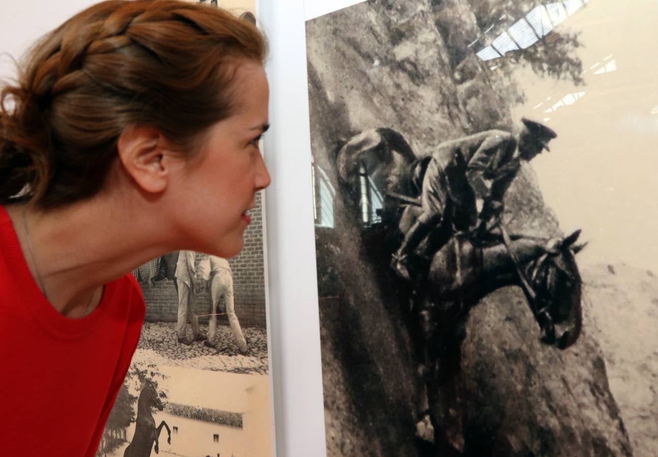 Homenaje al caballo en la Academia de Caballería de Valladolid