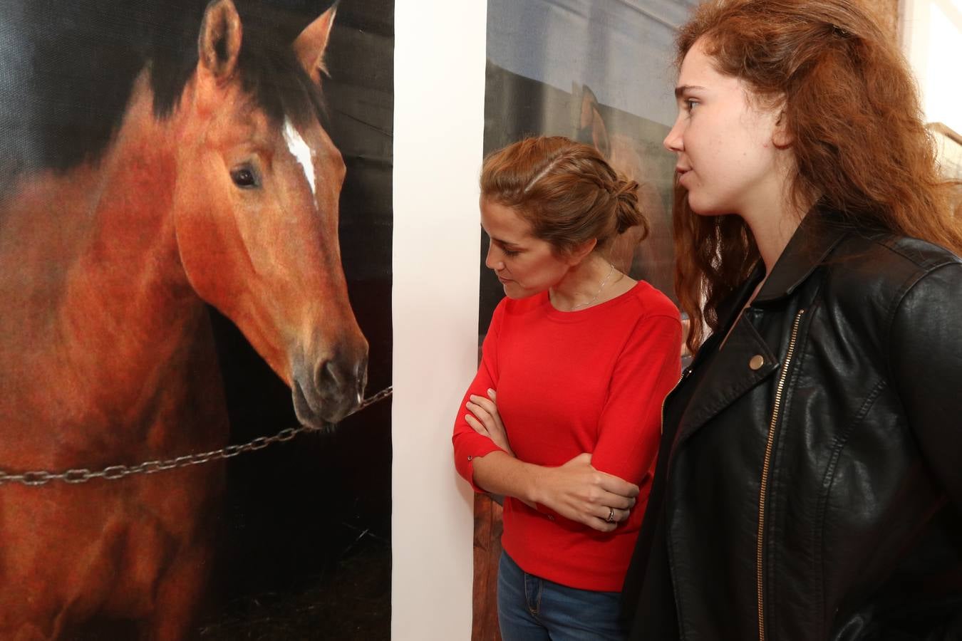 Homenaje al caballo en la Academia de Caballería de Valladolid